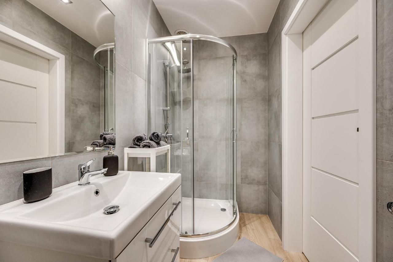 Platinum 30 Apartment Rybnik (Silesia)